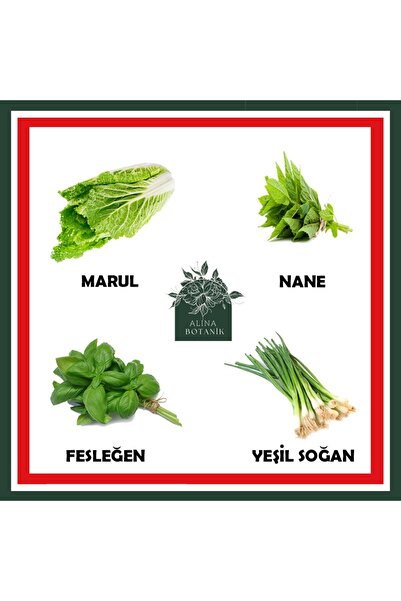 bfalina botanik 4 Çeşit Yeşillik Tohum Paketi (Marul, Nane, Fesleğen, Yeşil S...