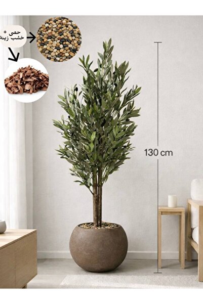 MG شجرة زيتون بطول 130 سم بمركن مكور