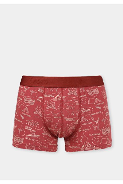 Colin's Modern Fit Printed Men's Claret Red Boxers