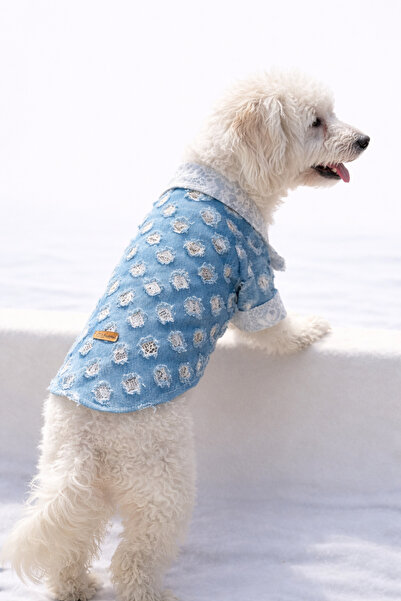 PATİLİNKA Cat - Dog Lace Spring Denim Jacket - Shirt - Coat - Vest