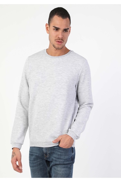 Colin's سويت شيرت رجالي باللون الرمادي الميلانج بقصة عادية Cl1046286