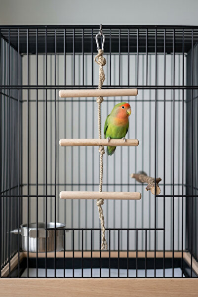 Mivra Pets Doğal Papağan Oyuncağı Jüt Halatlı Gürgen Ahşap Basamaklı 45 cm (M...