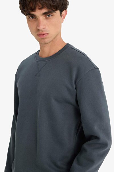 DeFacto Regular Fit Bisiklet Yaka Basic Düz Kalın Sweatshirt T3777AZ25AU