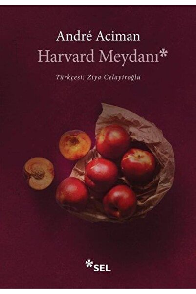 Sel Yayıncılık Harvard Meydanı