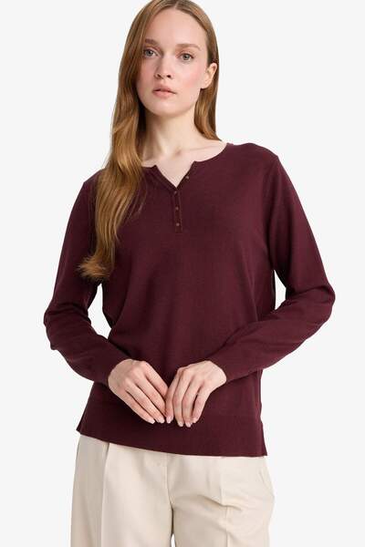 DeFacto Pulover cu decolteu în V, croială normală E9145AX25AU