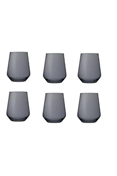 Paşabahçe 41536 6 Lı Allegra Su Bardağı (GRİ)
