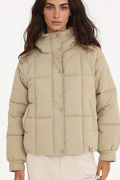DeFacto Regular Fit Hooded Zippered Puffer Jacket F2144Ax25Wn