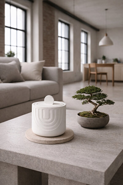 Misse Container Organizer Box with Decorative Lid