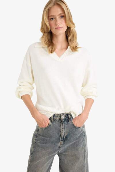 DeFacto Übergroßer Strickpullover mit Polokragen F9126AX25WN