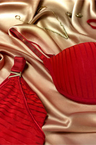 Lorinyo Padded V-Neck Women's Bra Set