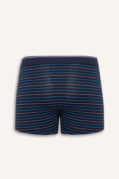 DeFacto Regular Fit Striped 3-Piece Boxer D9876Ax25Sp
