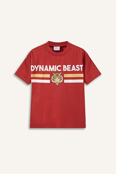 DeFacto Crew Neck Printed Short Sleeve T-Shirt Baby Boy E1067A525Sm