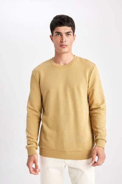 DeFacto Regular Fit Crew Neck Sweatshirt B7833AXNS