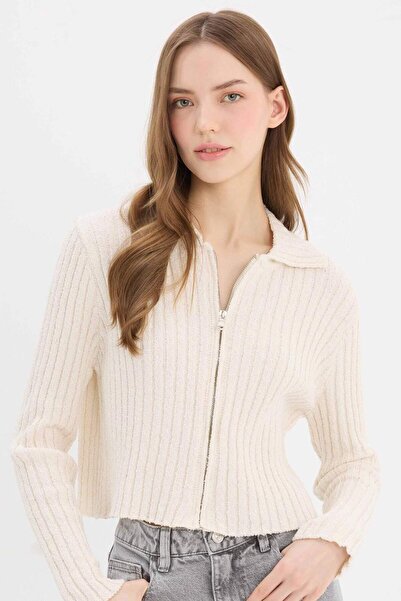 DeFacto Slim-Fit-Strickjacke mit schmalem Schnitt, Polokragen und Reißverschl...