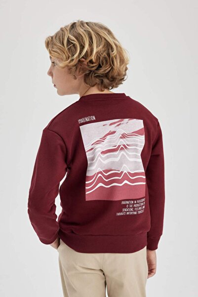 DeFacto Boy's Crew Neck Back Printed Thick Sweatshirt B9013A823Cw