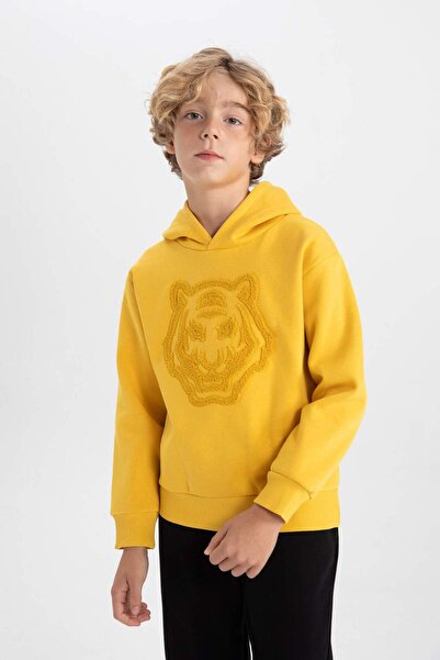 DeFacto Boy's Hooded Thick Sweatshirt B2044A823Wn