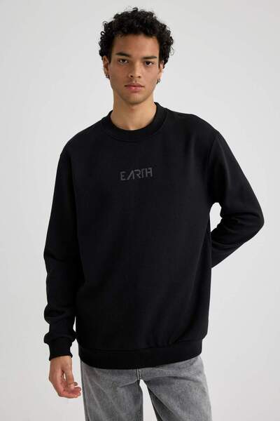 DeFacto Regular Fit Bisiklet Yaka Baskılı Sweatshirt X7383AZ23AU