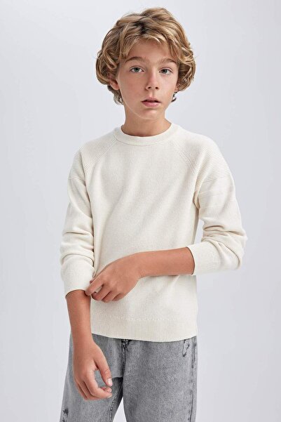 DeFacto Boy's Crew Neck Cotton Piece Knitwear Sweater A3298A823Au