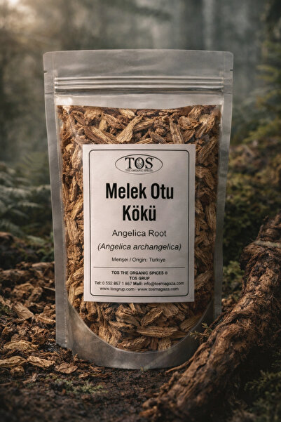 TOS The Organic Spices Melek Otu Kökü 50 gr (1. Kalite) Angelica archangelica...