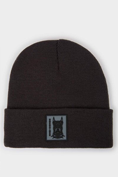 DeFacto Tricotaj cu etichetă cu figuri de animale pentru bărbați R7045AZ21WN