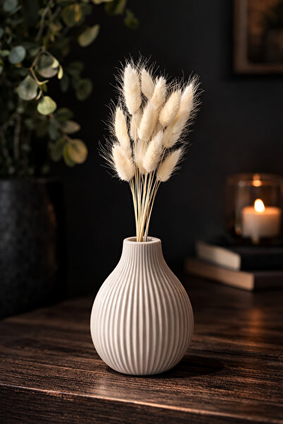 ÇINARASYADAHOME Buchet de iarbă naturală uscată de coadă de iepure de culoare...