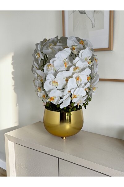 Lavivaplants 6 Dallı Lüx Islak Beyaz Orkide Aranjmanı Gold Metal Saksıda