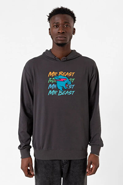 Tshirthane Mr Beast Lettern dimljena muška 2ip majica sa kapuljačom