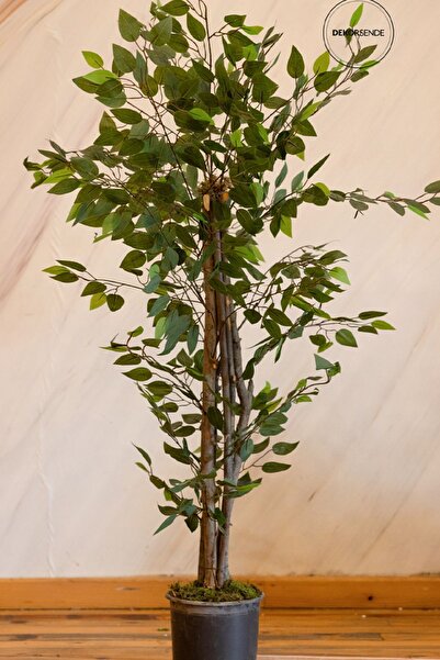 Dekorsende Yapay Benjamin Ağacı 130 Cm