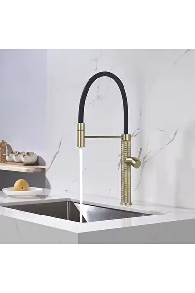 NO BRAND Kitchen faucet with flexible pull-out spray, glossy gold