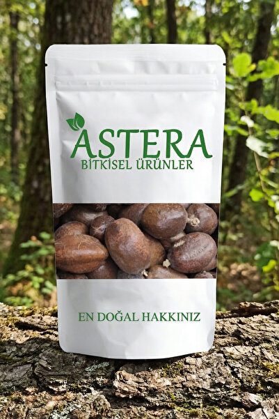 ASTERA 1 Adet Adem Elması Meyvesi ( Mekke Cevizi )