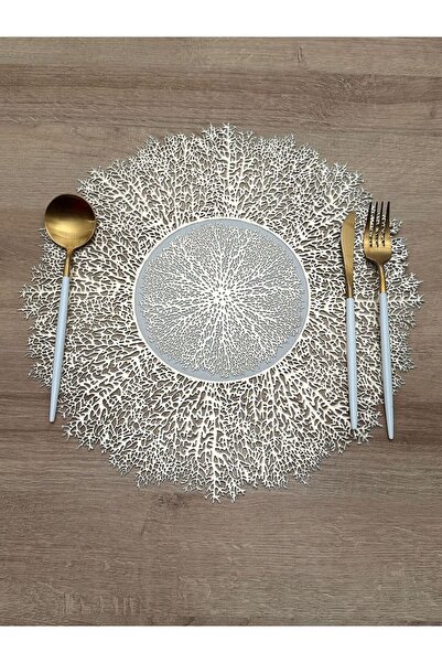 DsHome Dekoratif Leke Tutmaz 6’lı Supla Amerikan Servis Sunum Seti 38cm