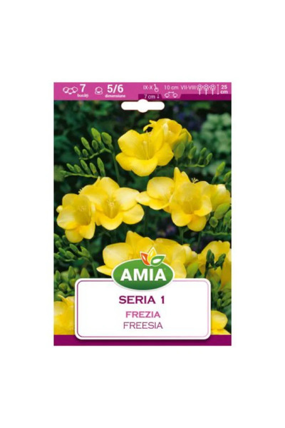 OEM Βολβοί φρέζιας, κίτρινοι (7 τεμ.)