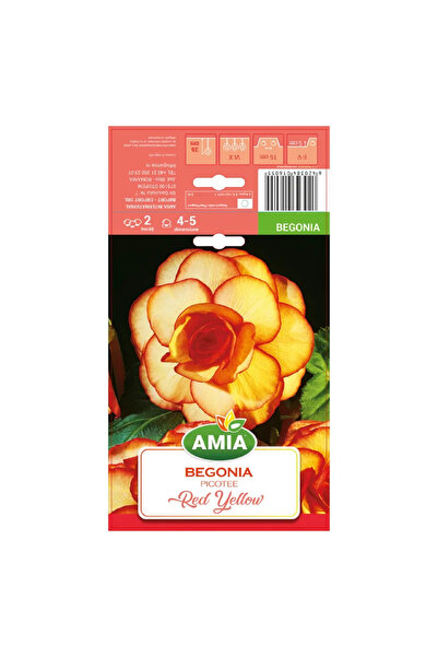 OEM Βολβοί μπιγκόνιας Picotee, πορτοκαλί/κόκκινοι (2 τεμ.)