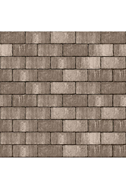 OEM Pavaj beton Anima D2, 200 x 100 x 60 mm, cafeniu