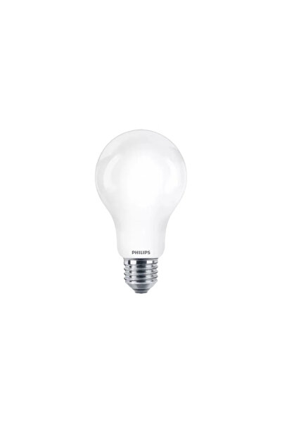 OEM Λαμπτήρας LED Philips, E27, A67, 17,5W, ψυχρό λευκό, 6500K, 2452lm, νήμα,...