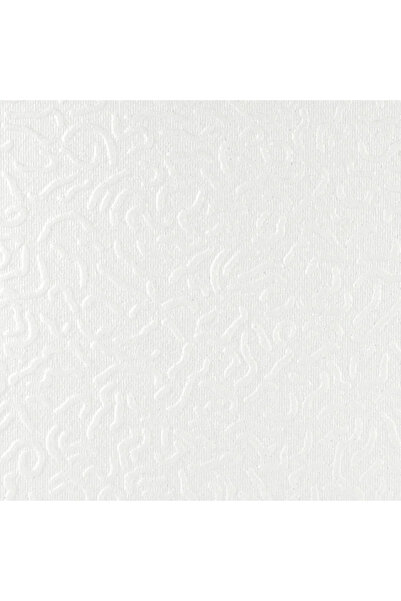 OEM Διακοσμητική ψευδοροφή Τιμισοάρα, διογκωμένη πολυστερίνη, 7 mm, 50 x 50 c...