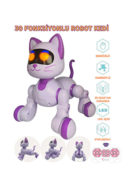 LRS STORE Oyuncak 30 Fonksiyonlu Uzaktan Kumandalı Şarjlı Sesli Işıklı Dokunm...