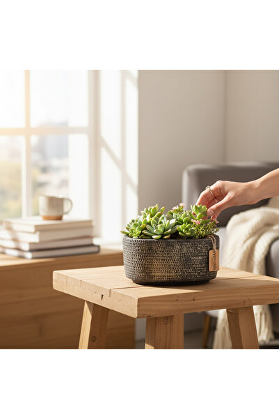 YoyoMoyo Vela Serisi Desenli Beton Saksı – Dekoratif Sukulent ve Kaktüs Saksısı