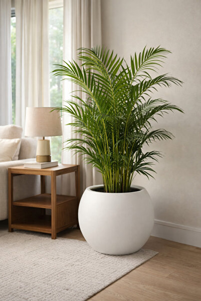 KastaSaksı 40x30 cm BEYAZ MODERN DEKORATİF PLASTİK KÜRE SAKSİ