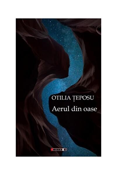 Editura Eikon Aerul din oase, Otilia Teposu