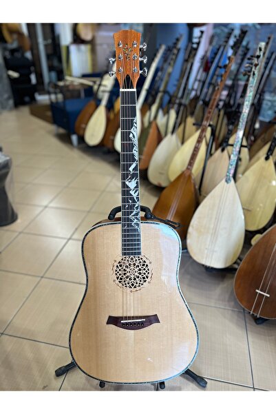 Bircanmüzik Profesyonel Akustik Gitar