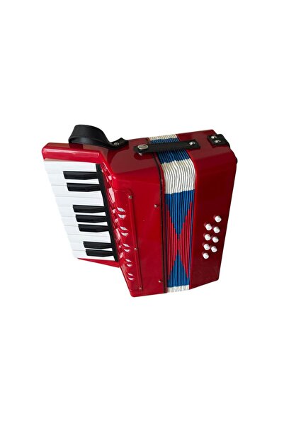 ADIRI SHOP Acordeon muzical interactiv pentru copii, instrument muzical educa...