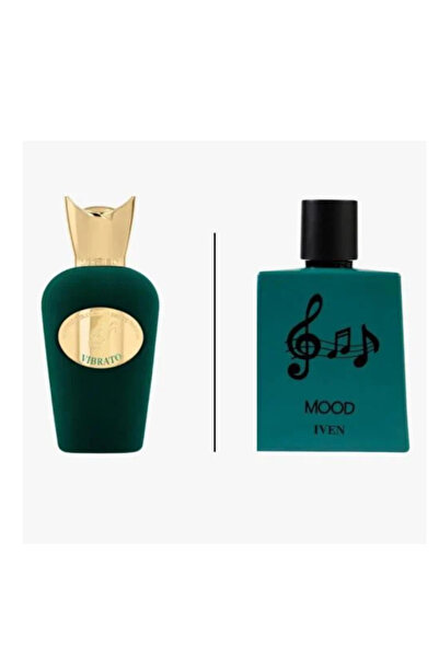 İVEN عطر ايفن مود 100 مل