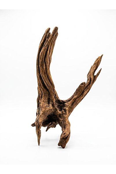 WODDY Mangrove Akvaryum Kökü