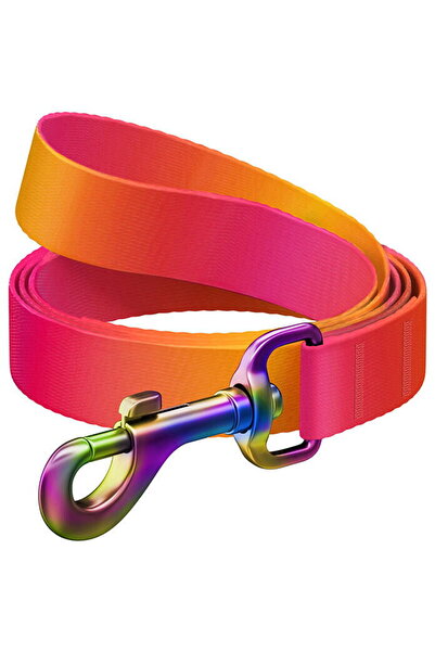 WAUDOG Lesă de caine din nailon gradient, lățime 20 mm, lungime 122 cm, porto...