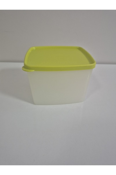 Tupperware Antarctica 800ml Icebox Series (Alaska) Storage Container