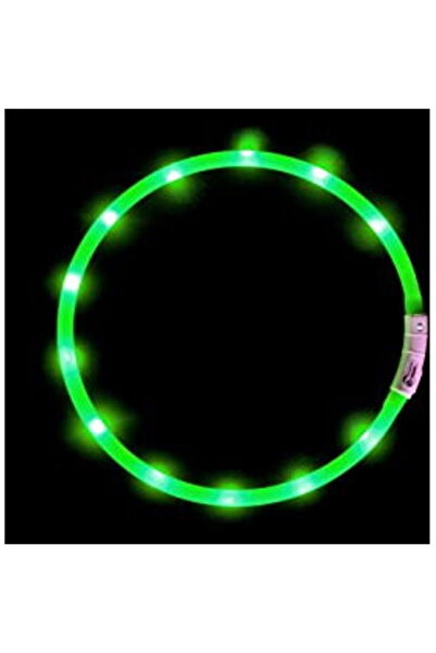 Generic Anicoll LED Collar for Dogs and Cats Green
