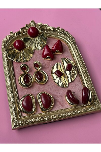 MİOSA 316L Steel Burgundy Zr Earrings (Send the Model You Want)