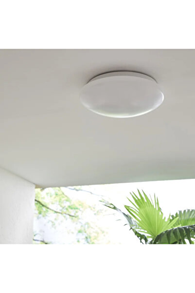 OEM LED ceiling light, outdoor, 10W, 1100 lm, neutral light, 4000K, IP44, white