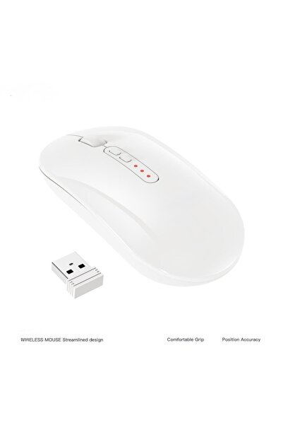 PERASSTORE KABLOSUZ MOUSE